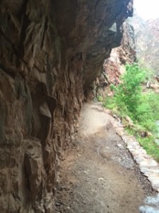 20160518 GrandCanyonPoptartWhip path 225x300