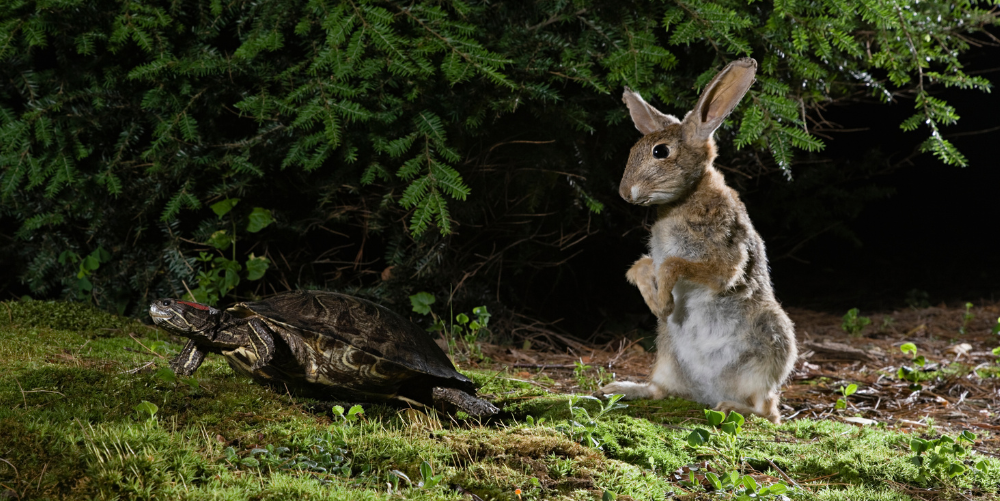 Prepare, Don't Predict cover