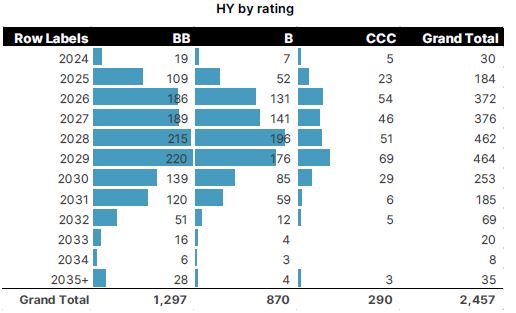 Public-and-Private-Credit-Where-investors-should-focus-chart-5.JPG