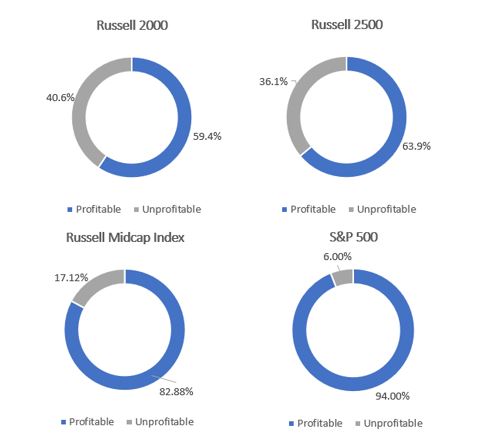 Chart-6-A-Case-for-Investing-in-US-Mid-Caps.JPG